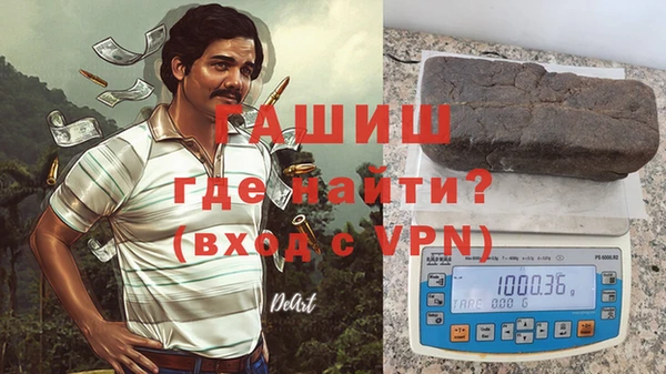 индика Мегион