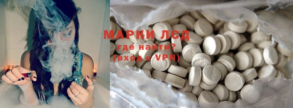индика Мегион