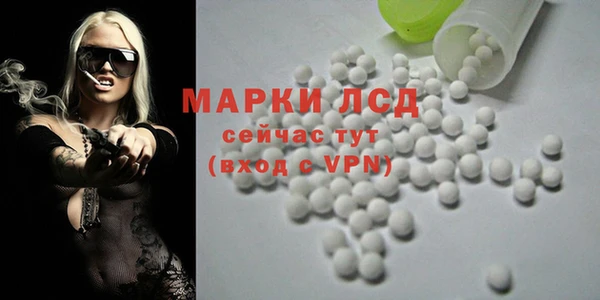 индика Мегион