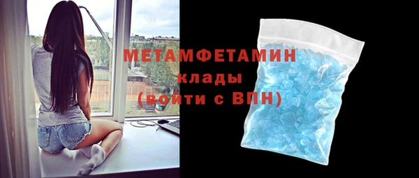 индика Мегион