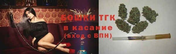 индика Мегион