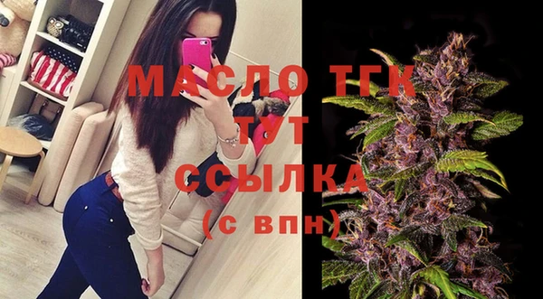 индика Мегион