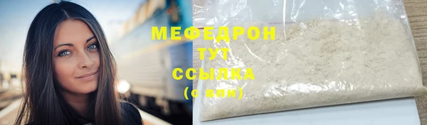 индика Мегион