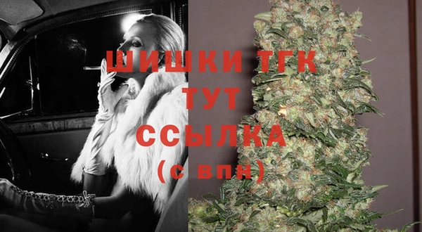 индика Мегион