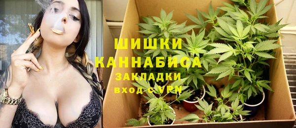 крисы Медвежьегорск
