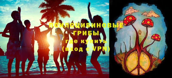 хмурый Медногорск