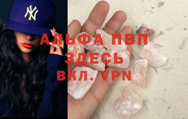 индика Мегион