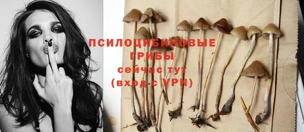 хмурый Медногорск