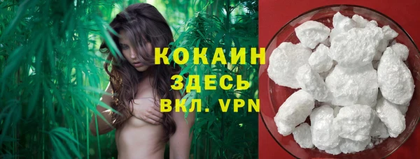индика Мегион