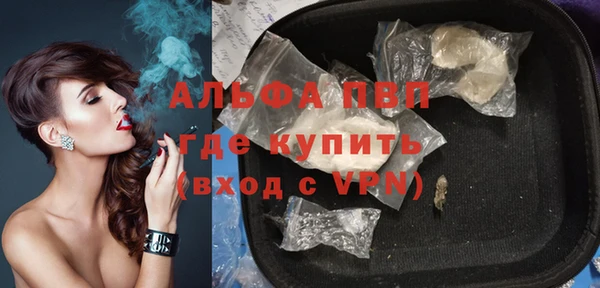 индика Мегион