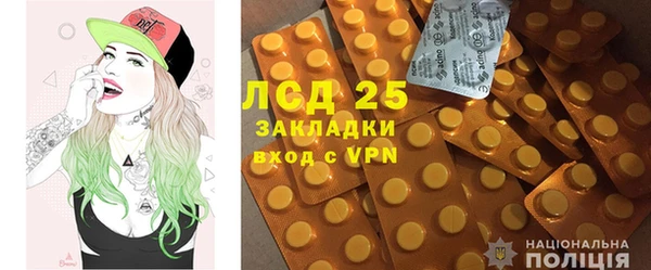индика Мегион