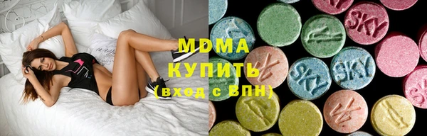 индика Мегион