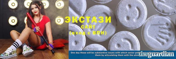индика Мегион
